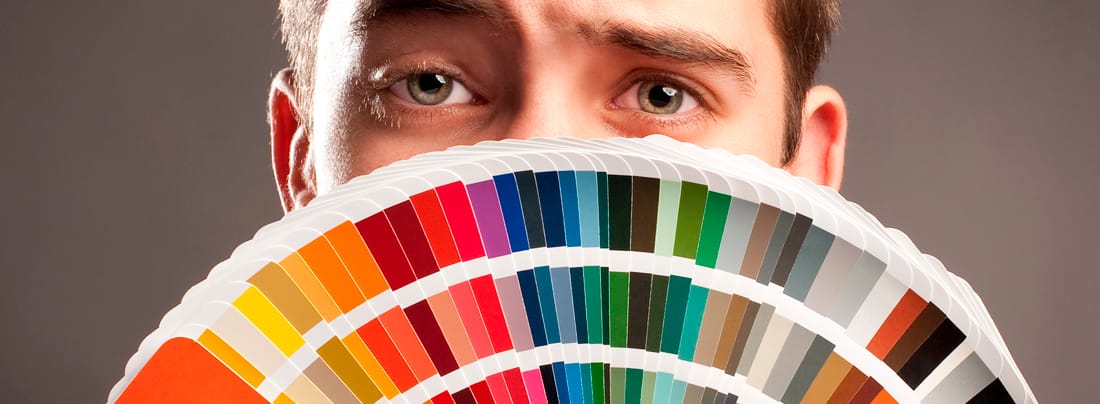 diseño web en chihuahua