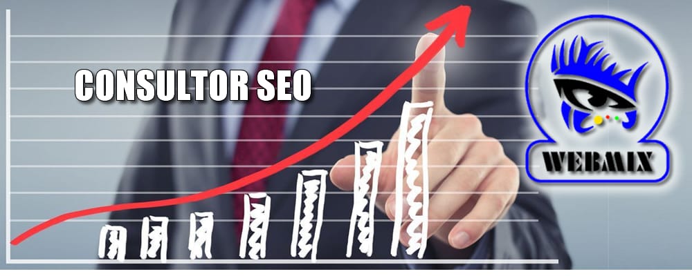 CONSULTOR SEO