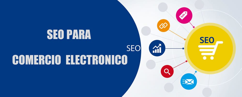 SEO CHIHUAHUA