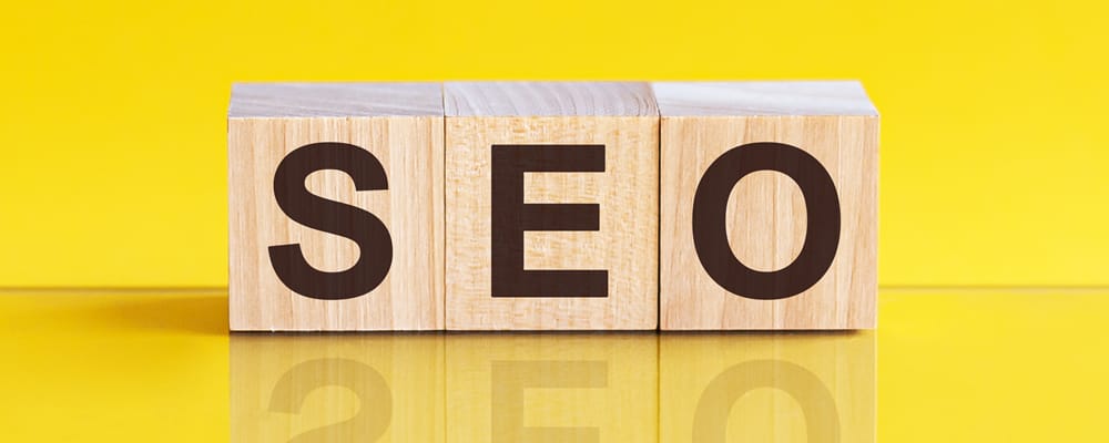 SEO CHIHUAHUA