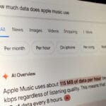 Google AI Overviews