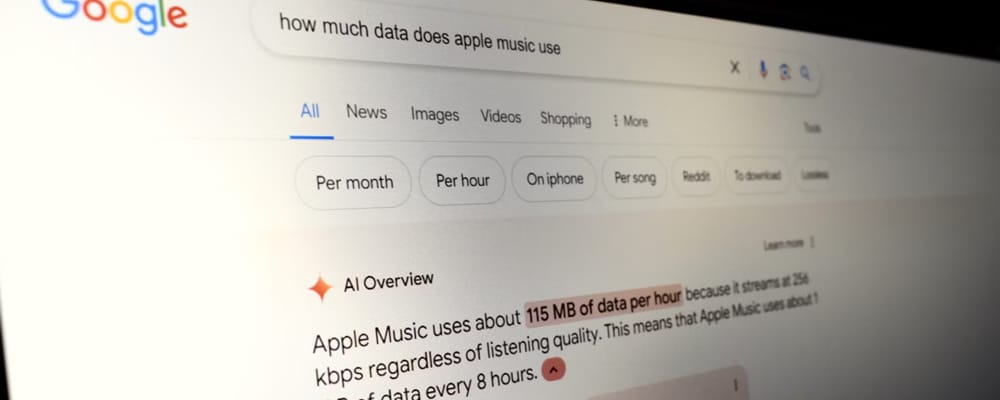 Google AI Overviews