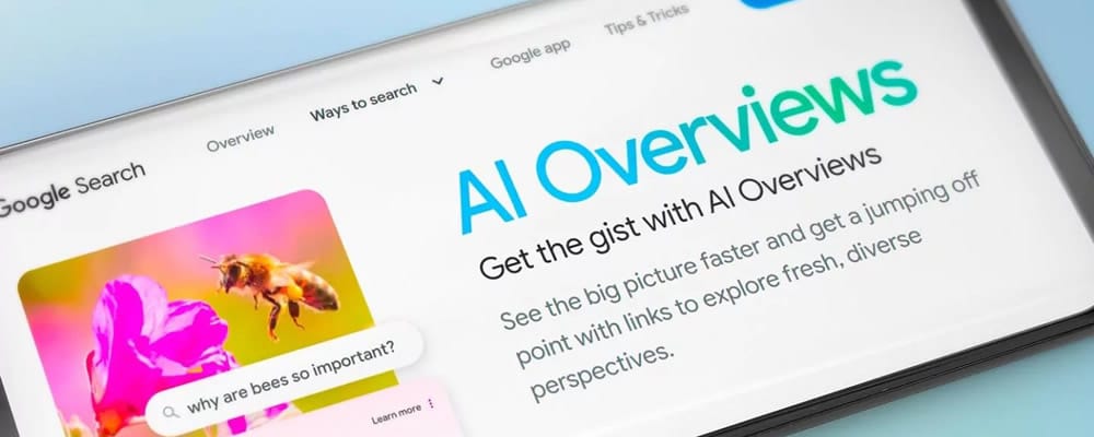 Google AI Overviews