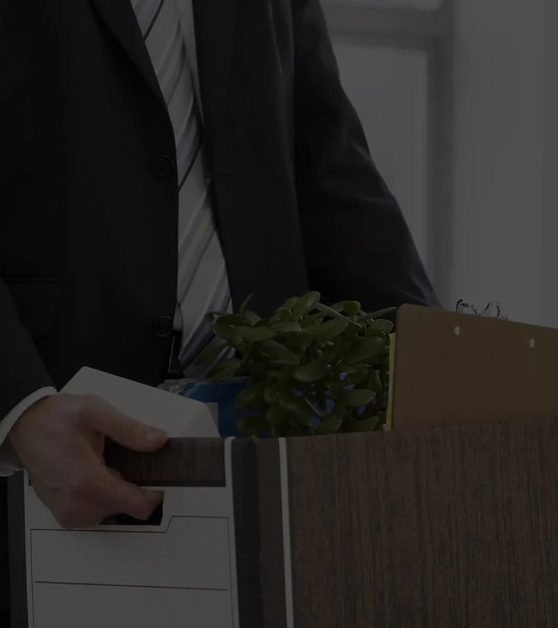 servicio de SEO para abogados